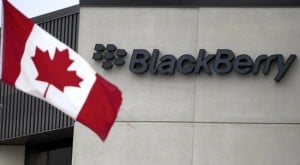 blackberry
