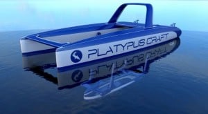 Platypus Craft
