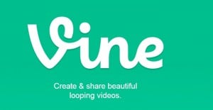 Vine