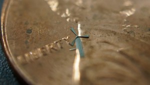 Mini windmills