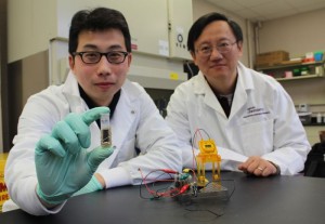 Sugar Powered Battery
