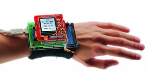 LEWE Open Source Biometric Wristband
