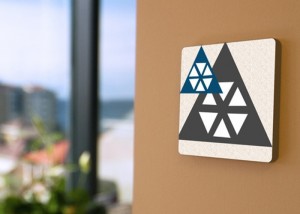 Plyon Wireless Access