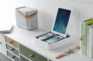 Sanctuary4 Charging Station