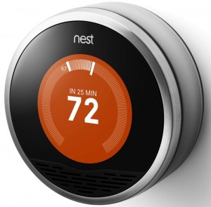 nest