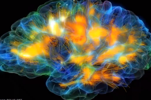 Brain Scan Oculus Rift