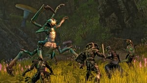 the elder scrolls online