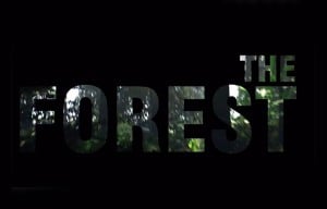 The Forest