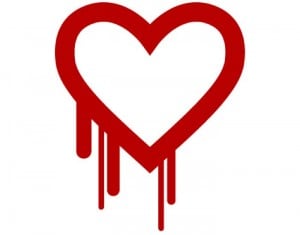 Heartbleed Bug