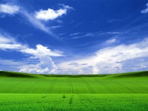 windows xp support