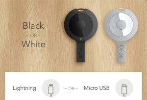 GOkey Pocket Keychain Charger