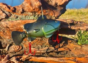 Nano Lure