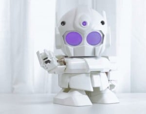 Rapiro Robot