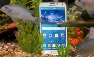 galaxy s5 active