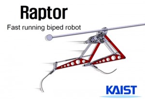 raptor robot