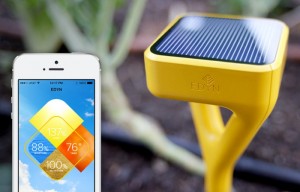 Edyn Smart Garden System