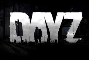dayz