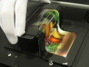 foldable oled display