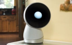 Jibo