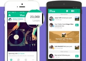 Vine loop count