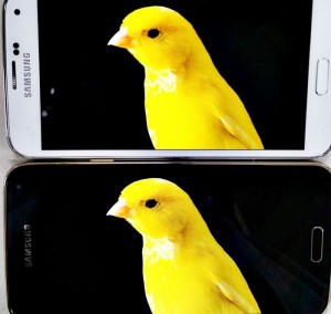 galaxy S5