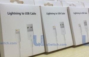 Apple Lightning Cable