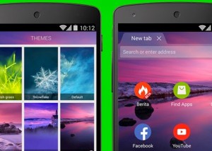 Dolphin Browser