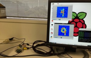 Raspberry Pi PyID