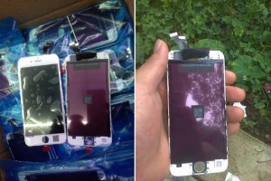 iPhone 6