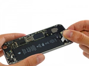 iPhone 6