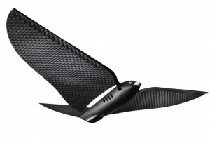 Bionic Bird