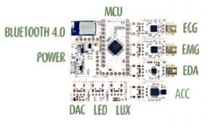 Arduino Motion Sensors