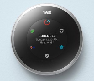 Nest