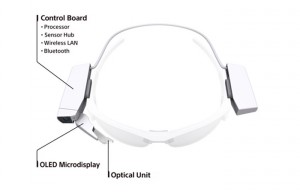 Sony Display Module