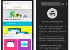 Chrome iOS Browser