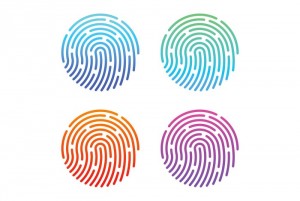 Peerio Announces New Encrypted Productivity Suite