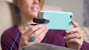 leef ibridge