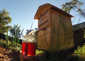 New Beehive Design