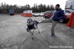 spot robot dog