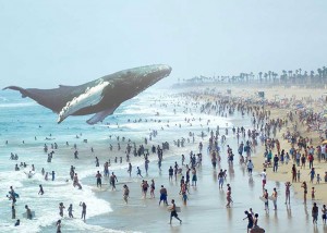 Magic Leap Augmented Reality