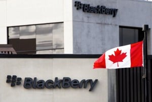 blackberry
