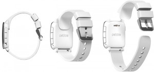 pebble smartstraps