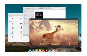 Elementary OS Freya