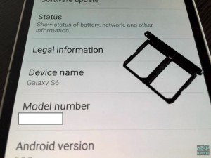 Galaxy S60 Duo