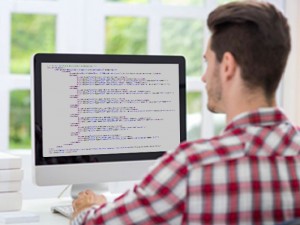 OSTraining Developer Courses