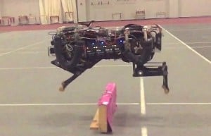 Cheetah Robot