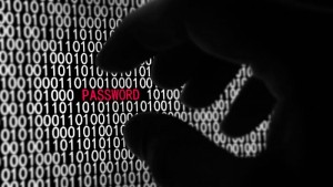White Hat Security Hacker Bundle