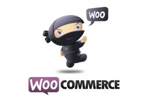 Wordpress Creator Automattic Buys WooCommerce