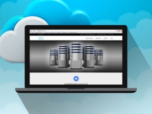Dripbit Online Backup: Lifetime Subscription