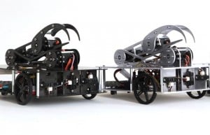 Robot Pet With Grabbing Claw